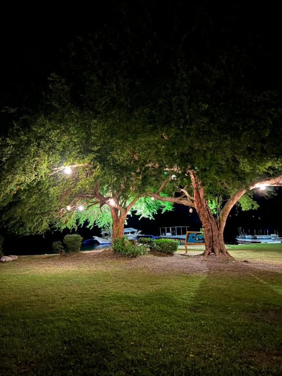 Surrounding environment