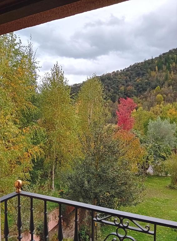 Picos de Europa Suites and Rooms 眺望