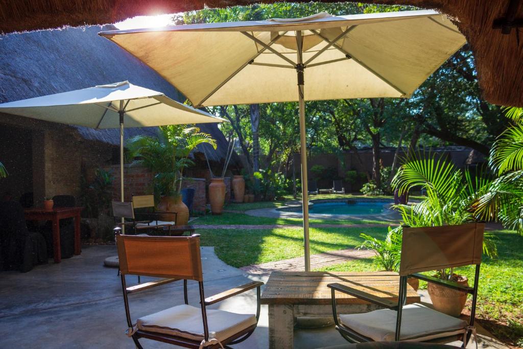Nguni Lodge 6