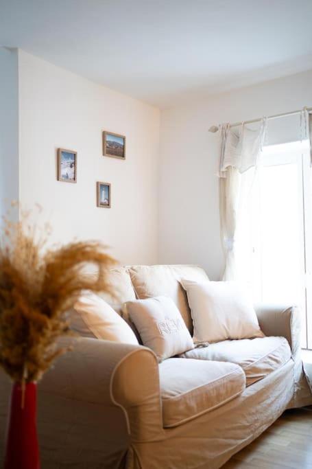 L'évasion de Bedoin, appartement - 4