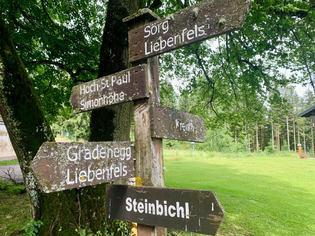 Chalet zur Schmiede - 4