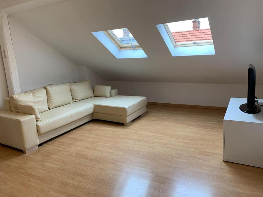 Cozy Little One Room Appartment, a tranquil haven! - 5