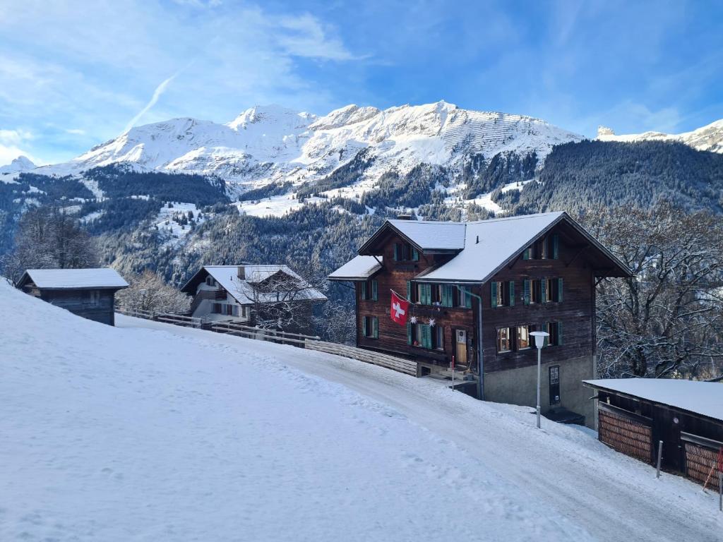 Traditional Ski Chalet in Wengen - Top Floor - 2
