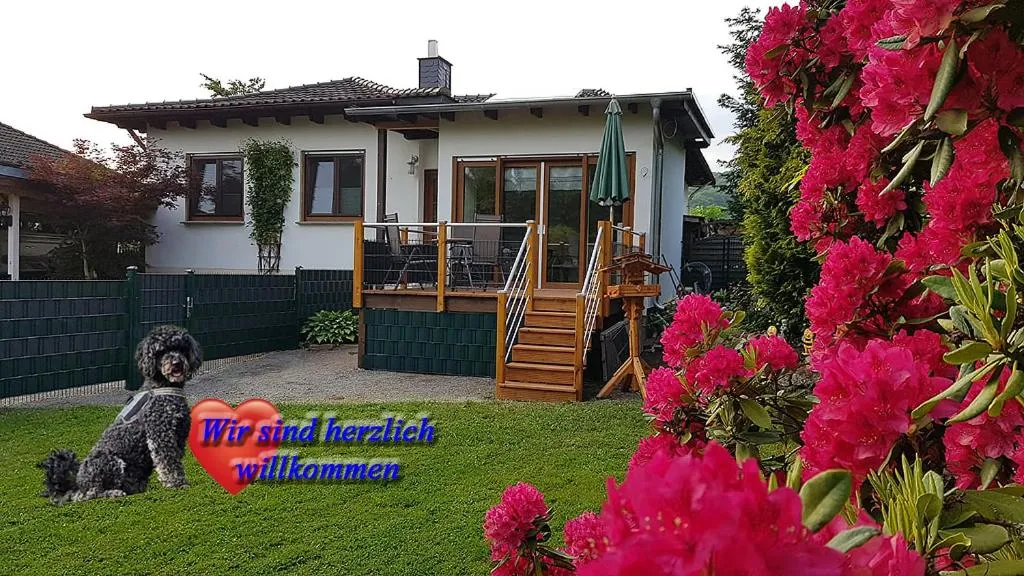 Haus Ceddy Diemelsee, hotel in Diemelsee