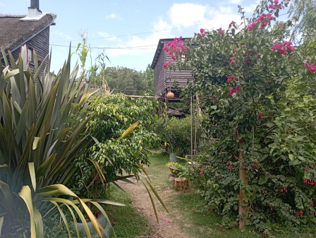 Hostel Kake - 1
