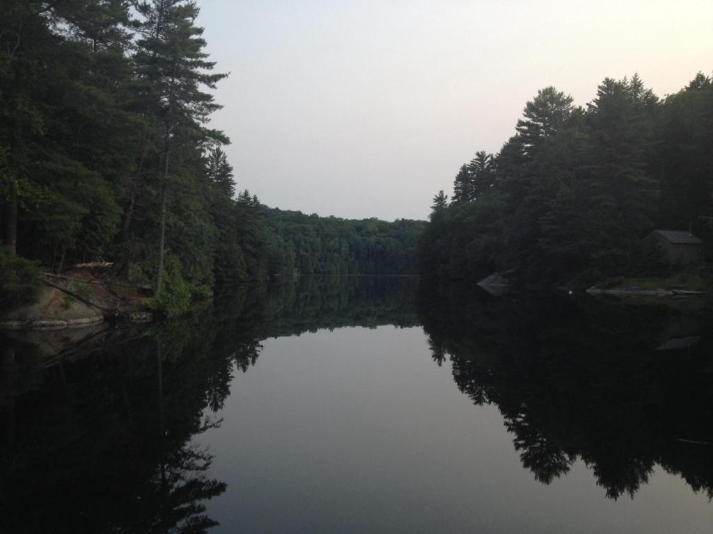 Surrounding environment
