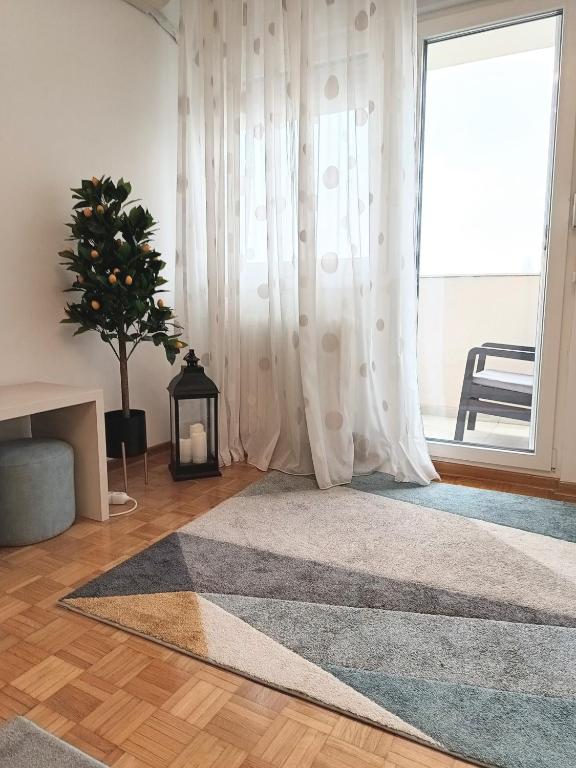 Novobeogradska priča - 5