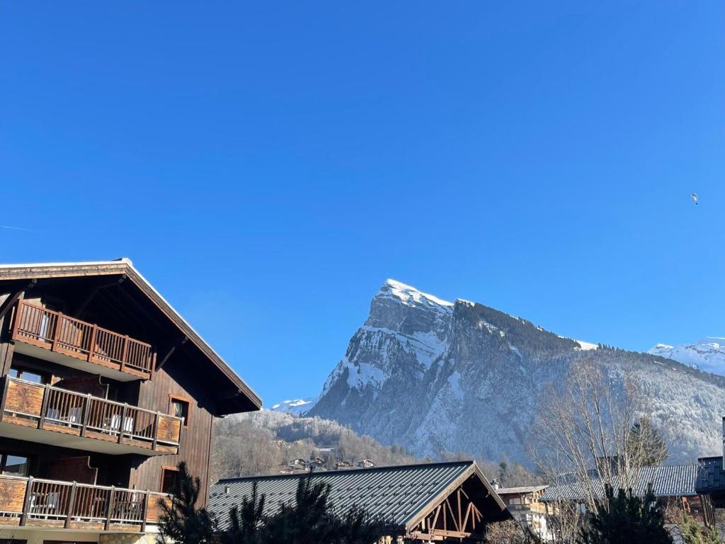 Appartement T2 avec grande terrasse et animaux acceptés - FR-1-624-105 - 5
