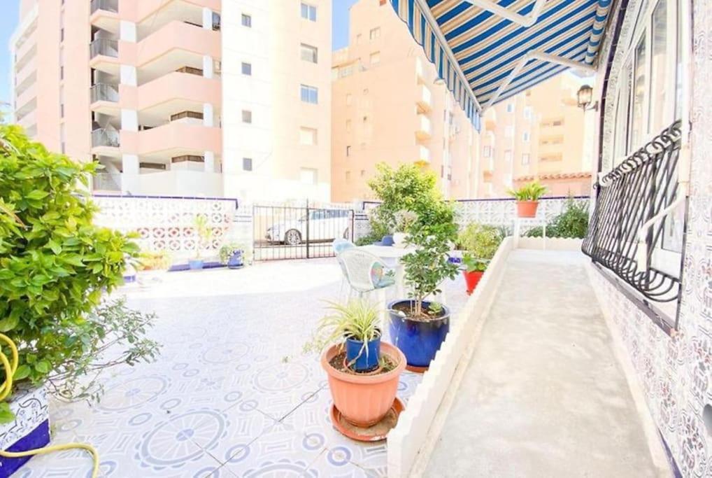Casa Liza in La Mata - 5