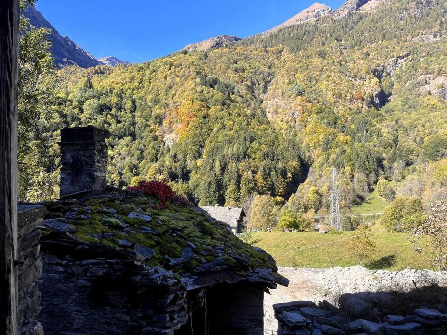 Alloggio in antica frazione Walser - 5