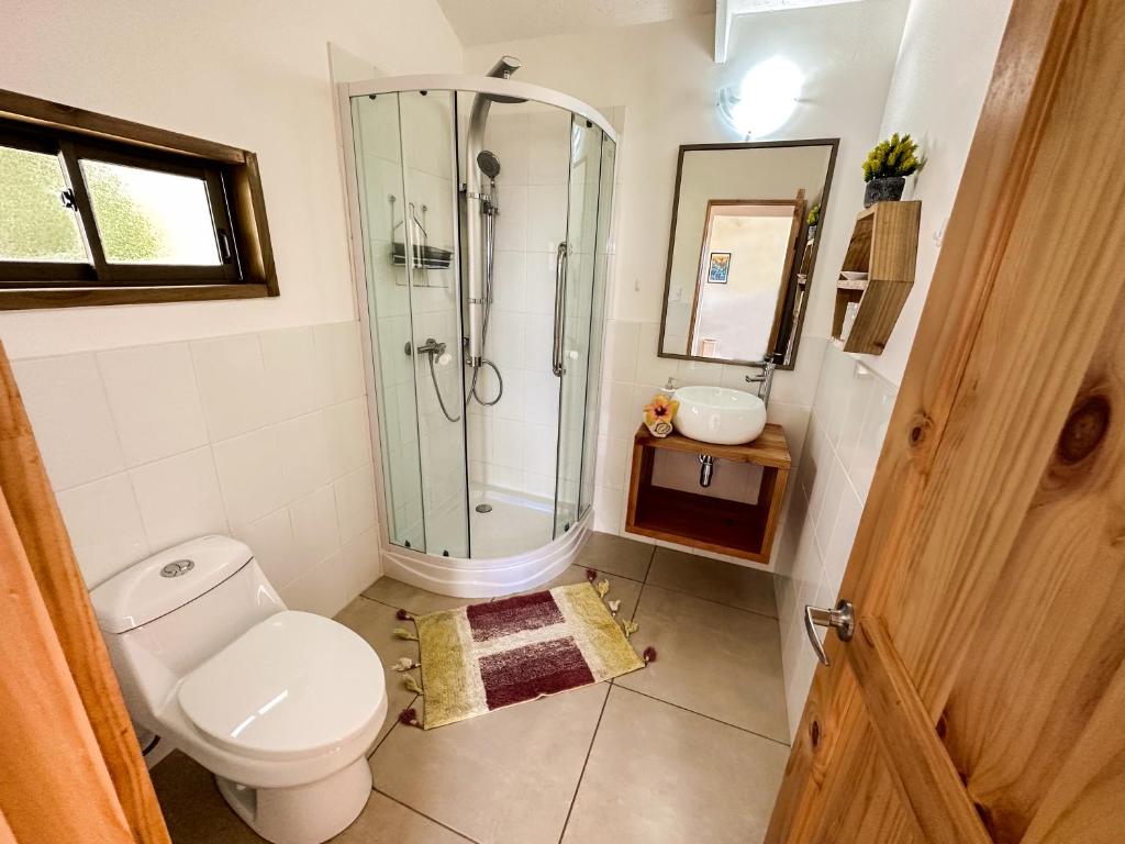 Maunga Roa Eco Lodge - 5