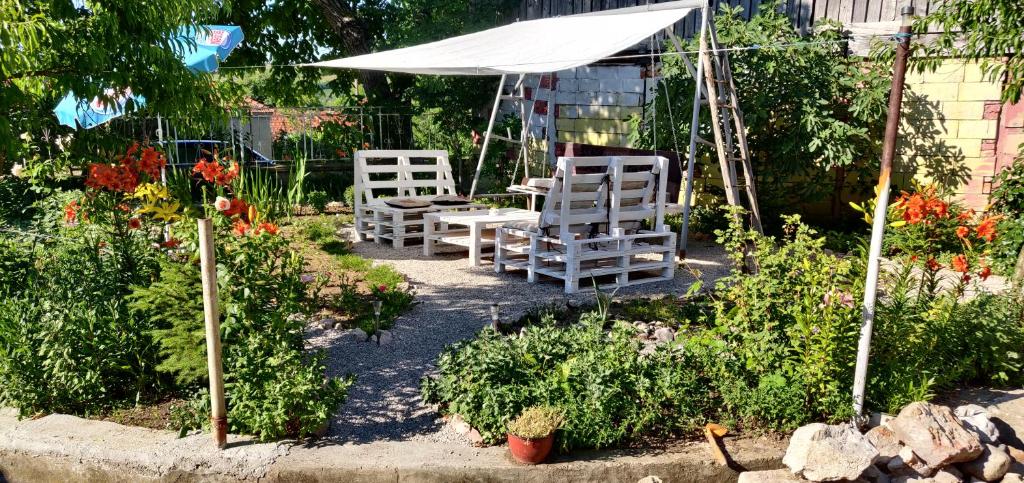 Apartmani Popović, Knjazevac.