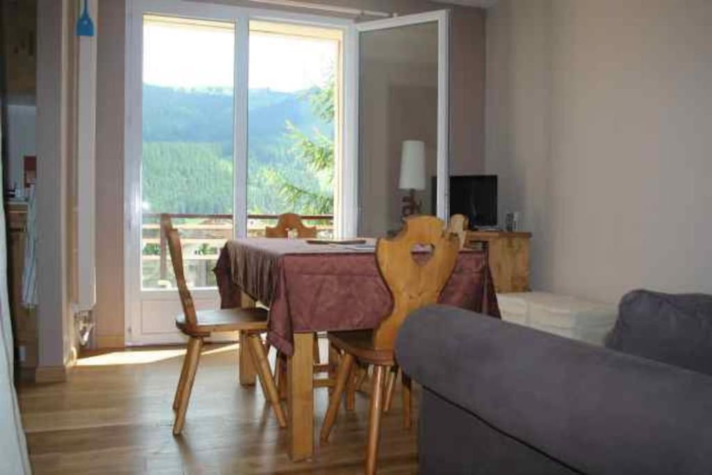 Superbe appartement vue montagne - 2