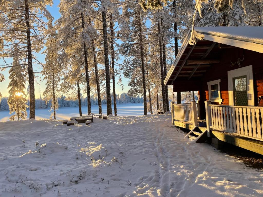 Pine Tree Cabin in Lappland, Glommersträsk