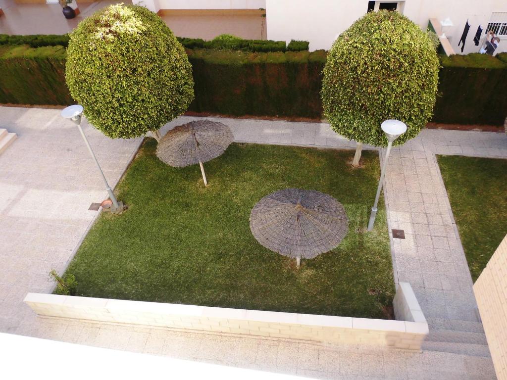 Apartamento 200 m playa San Juan - 2