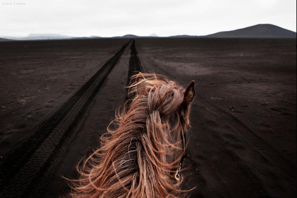 Horseback riding