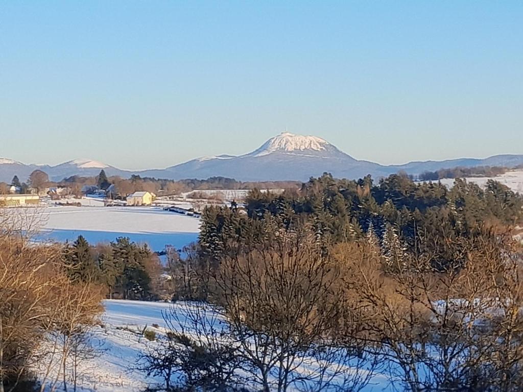 Nouveau Le Chant des Arbres, Gelles