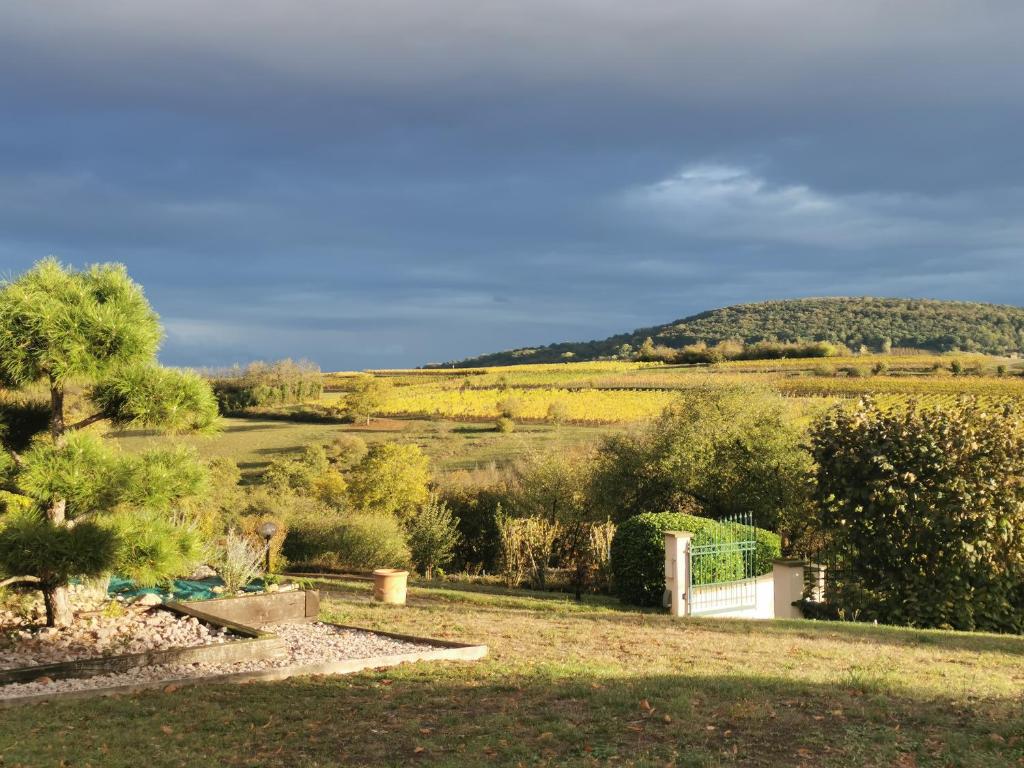 Studio spacieux, route des vins, Rosheim