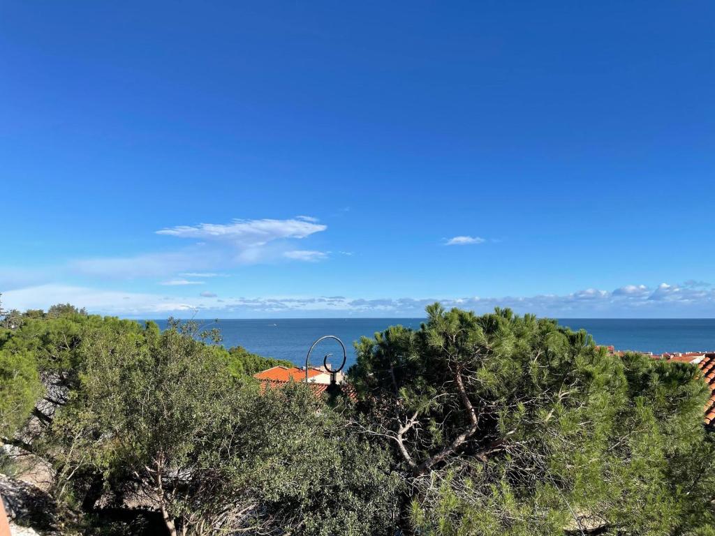 2TERIMP204 T2 neuf avec terrasse climatisation et parking Collioure - 2
