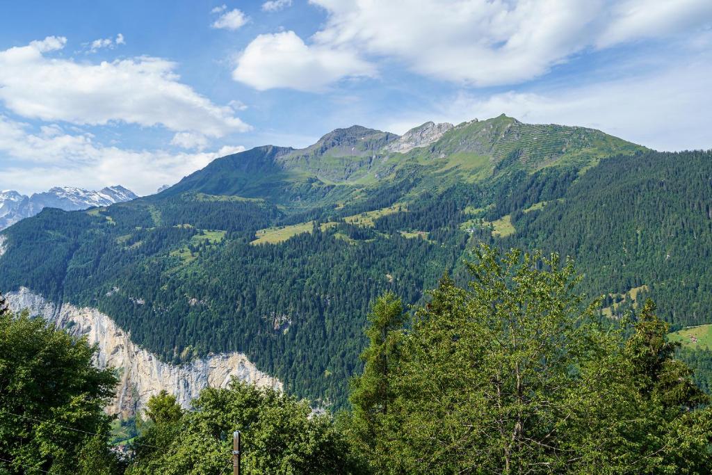 Chalet Krokus 6 - 4