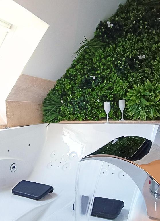 Bulle de douceur en hypercentre, Quimper