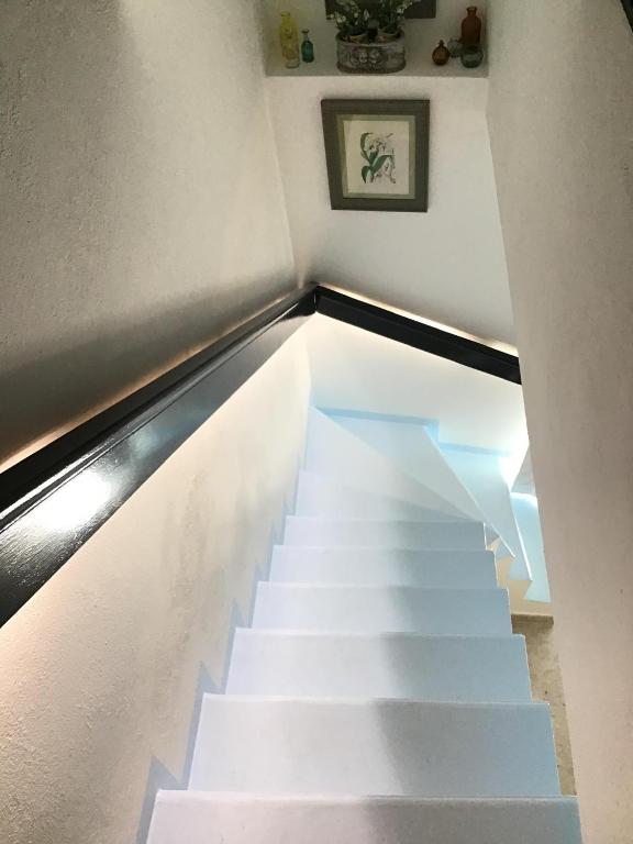 La Maisonette Antibes - 3