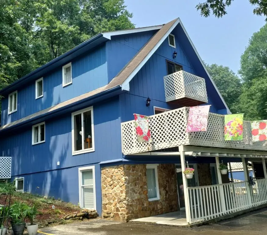 Lil Black Bear Inn，位于纳什维尔的酒店