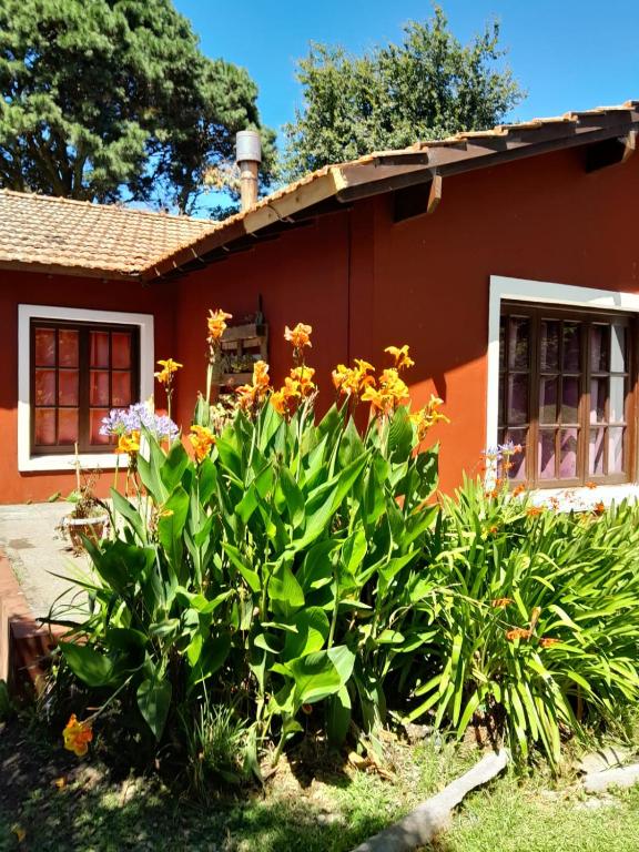 LA CALANDRIA - 4
