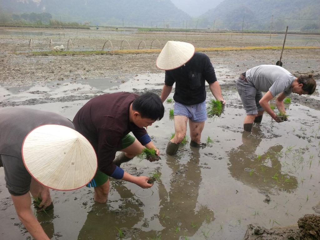 周辺案内