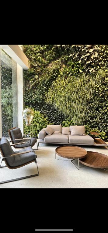 Monoambiente Fidel Anze - 3