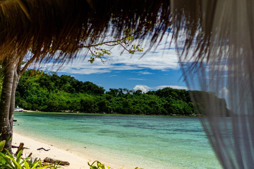 周辺案内