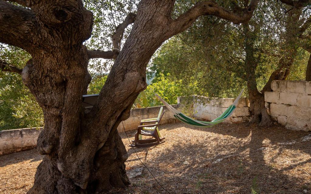 Trullo Philemon - 4