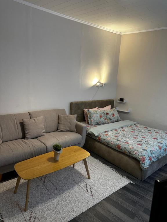 1 Bedroom Apartment near Kadriorg Swan Pond 전경