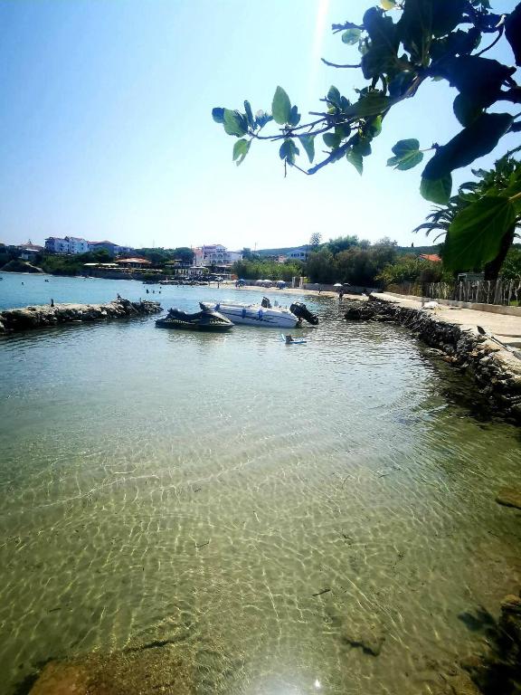 주변 환경