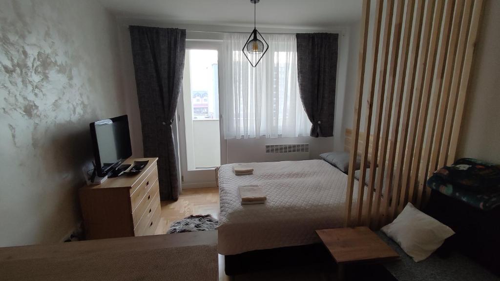Studio apartman Pale - 4