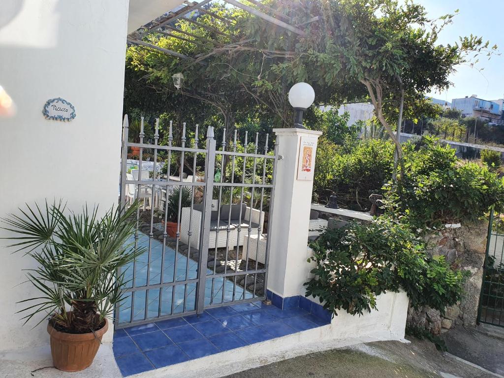 Casa Acqua Marina Ponza - 5