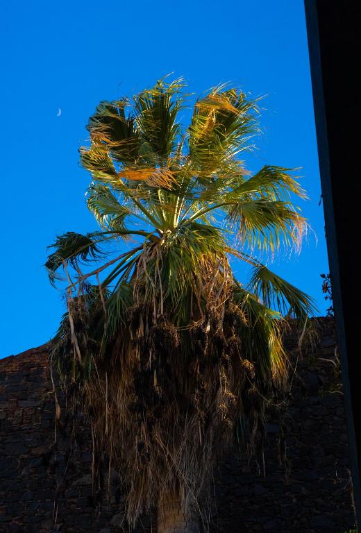 Surrounding environment