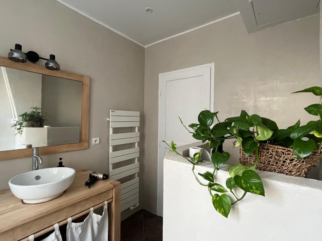 Lovely haussmannian flat in Montparnasse - 3