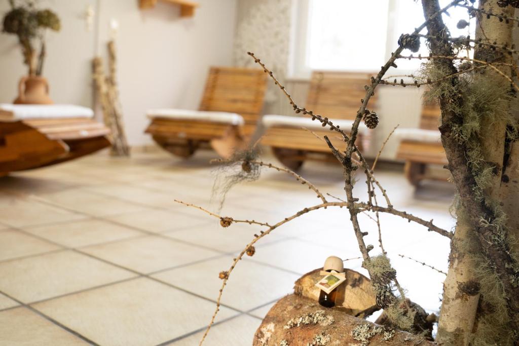Pension Fischinger - 5