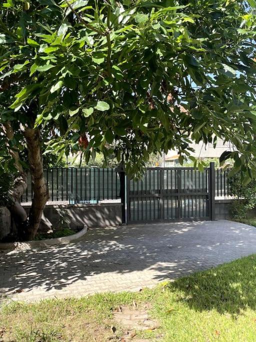 Casa Bouganville - 3