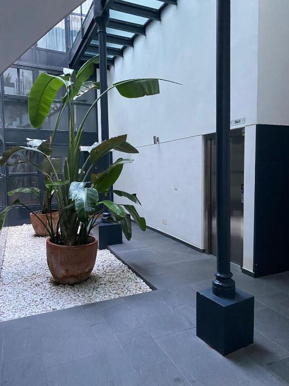 Moderno Duplex Sevillano - 2