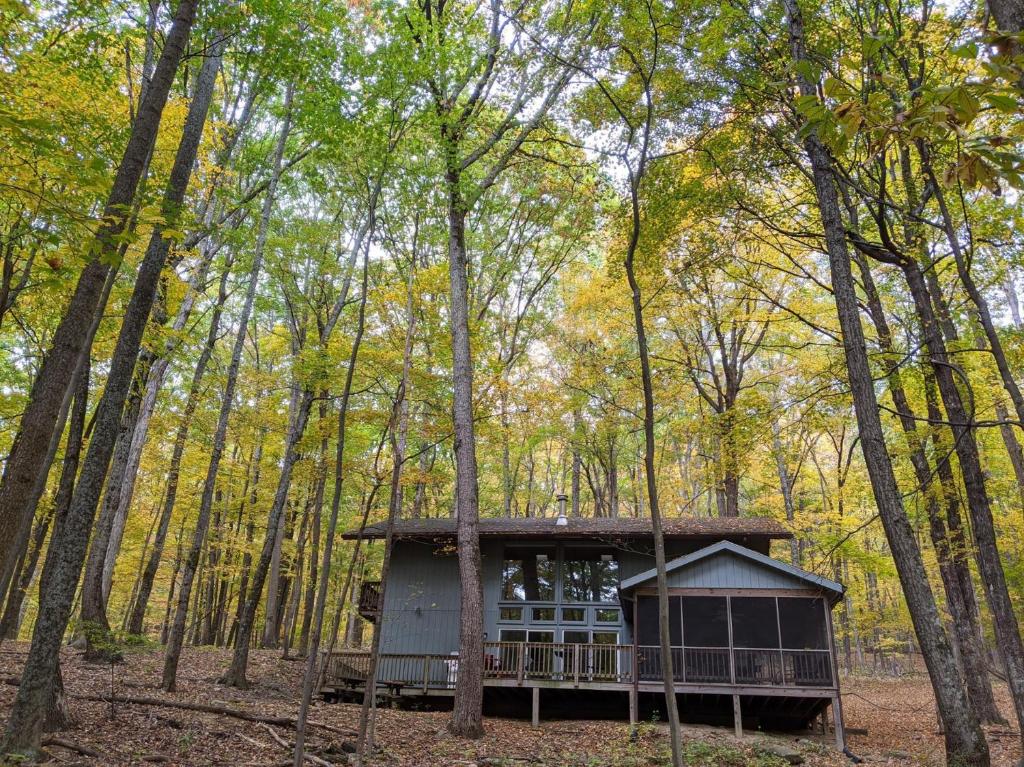 Autumn Wings - Propane Grill, Wifi, Kid Friendly, King Bed, Games, Screen Porch, Pool Access, Hiking, Berkeley Springs