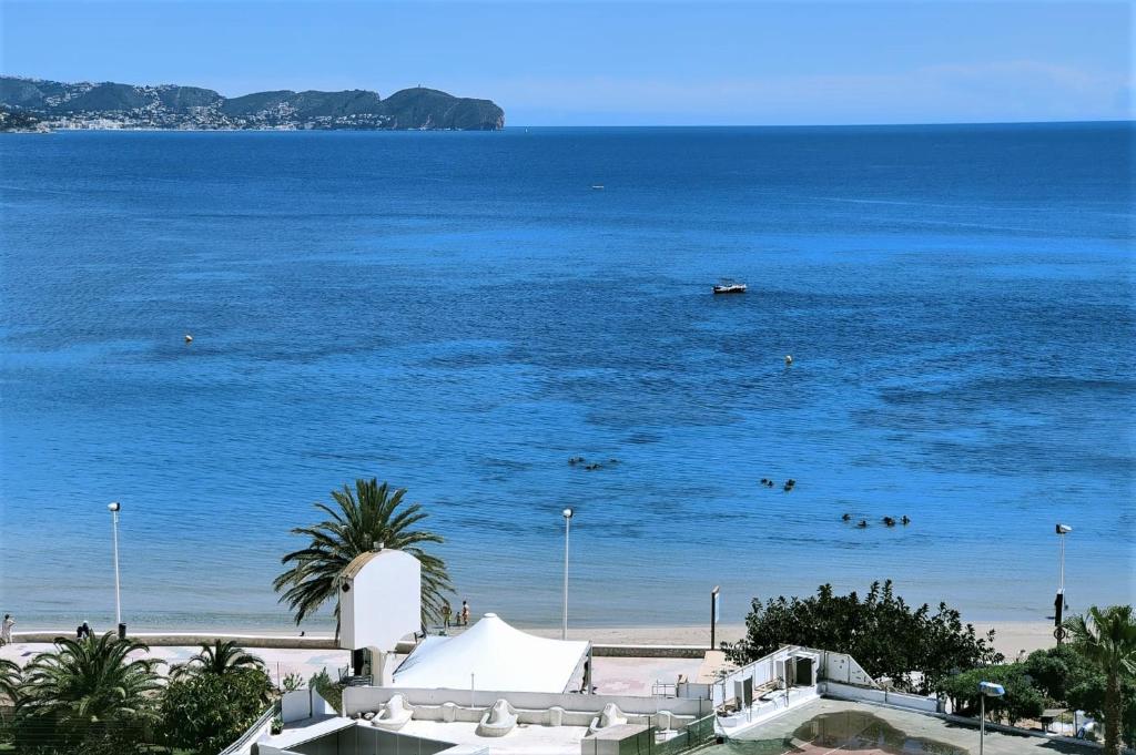 Precioso estudio primera linea Fossa-Puerto Calpe - 2