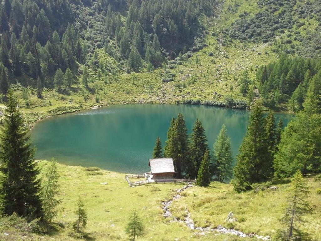Almhütte am Wirpitschsee - 2