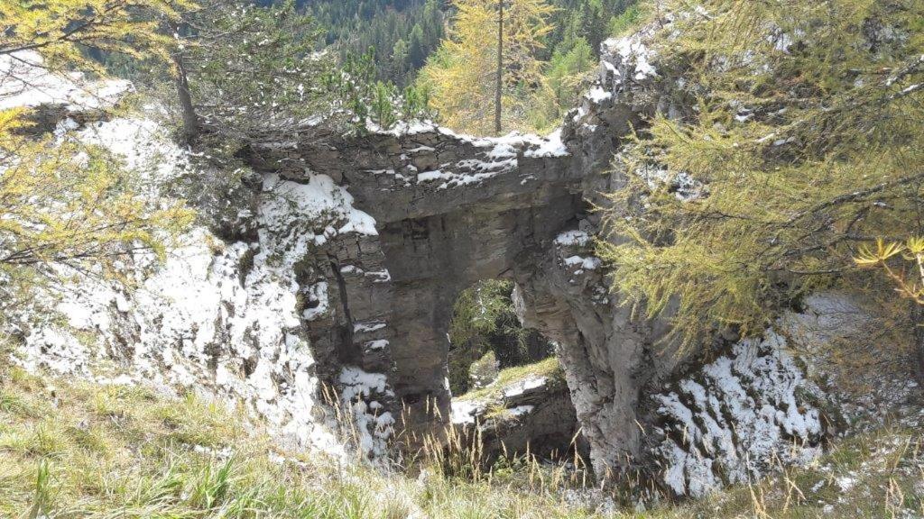 Almhütte am Wirpitschsee - 4