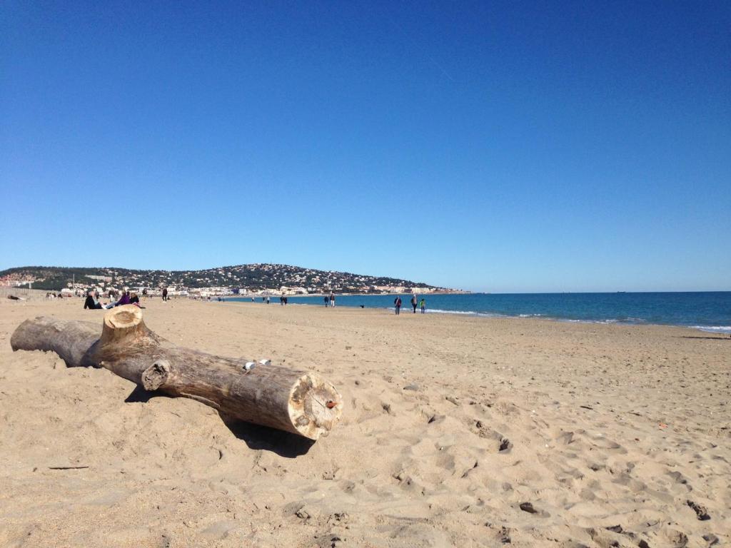 Appartement 2 pièces à Sète, 200m de la plage, parking privé, loggia et toutes commodités - FR-1-338-531 - 5