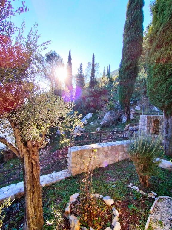 Villa Mir, Igalo, Herceg Novi - 4