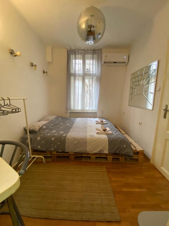 Shine DISCO room - 5