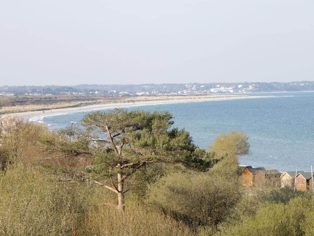 Purbeck Hotel Apartments Flat 5 Swanage photo 8