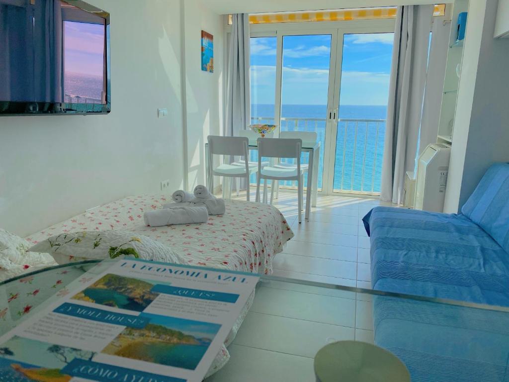 Estudi a primera línia de mar - 1